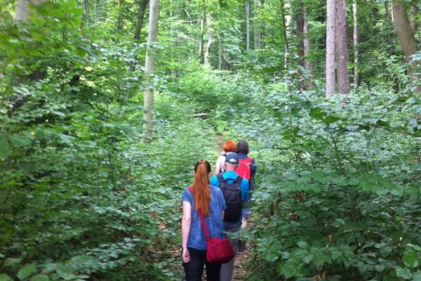 Dr. Thomas Wrbka, Ilse Wrbka-Fuchsig (beide Naturschutzbund NÖ, Ortsgruppe Klosterneuburg) und Harald Brenner vom Biosphärenpark Wienerwald führten die Wandergruppe durch den Rotgraben und die Buchenwälder hin zur Hohenauerwiese.