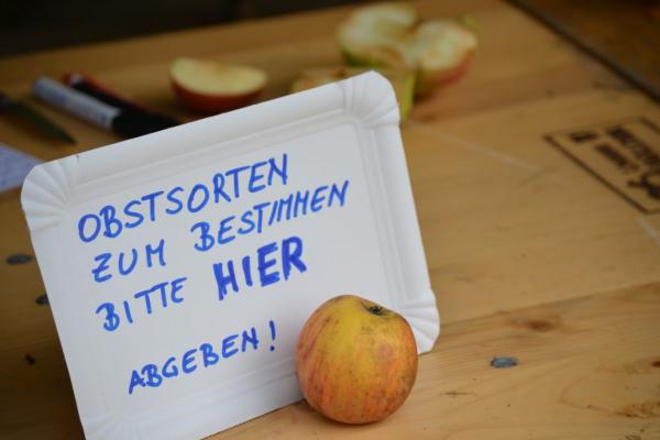 Kommen Sie am 12. Oktober 2019 ins Norbertinum Tullnerbach zum Obstbaumtag des Biosphärenpark Wienerwald Managements! Von 12 bis 17 Uhr gibt es die Möglichkeit, Früchte aus dem eigenen Garten von ExpertInnen bestimmen zu lassen. Für die Sortenbestimmung ist es wichtig, mindestens fünf typische Früchte von jedem Obstbaum mitzubringen. 