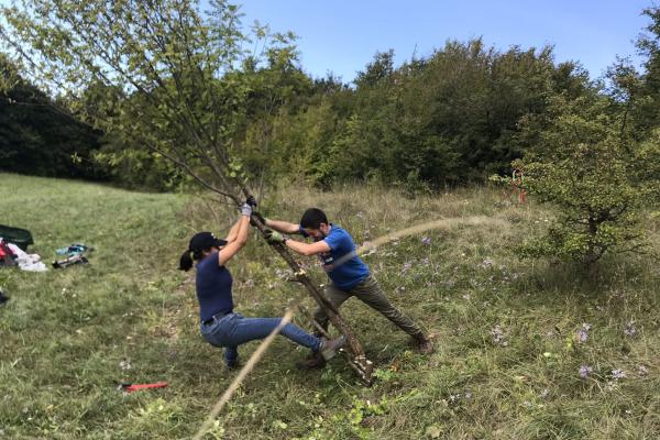 Landschaftspflege mit vollem Körpereinsatz