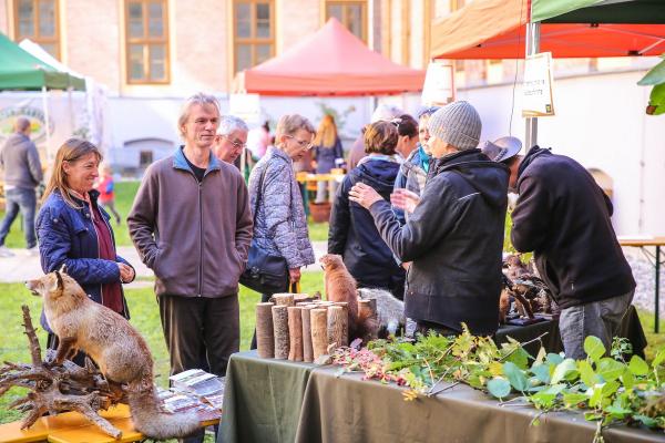 ExpertInnen standen den interessierten BesucherInnen für Fragen rund um das Thema nachhaltiges Gärtnern und alte Obstsorten zur Verfügung.