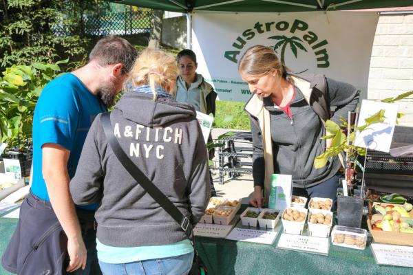 Der Partnerbetrieb des Biosphärenpark Wienerwald, die Bio-Gärtnerei Austropalm, hatte Exoten wie winterharte Bananen oder den Erdbeerbaum mit im Gepäck.