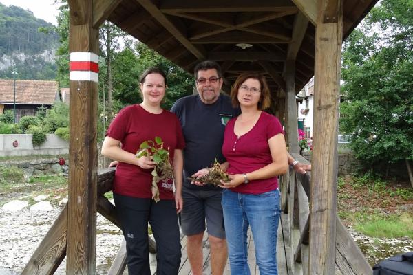 Pflegeeinsatz am gedeckten Steg in Alland