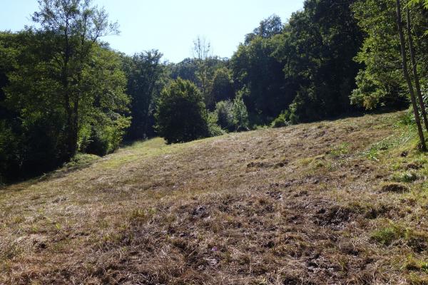 Die Zichtelwiese nach dem Pflegeeinsatz