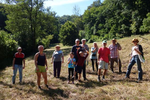 Ein großes Dankeschön an die freiwilligen HelferInnen beim Landschaftspflegeeinsatz auf der Zichtelwiese in Breitenfurt.