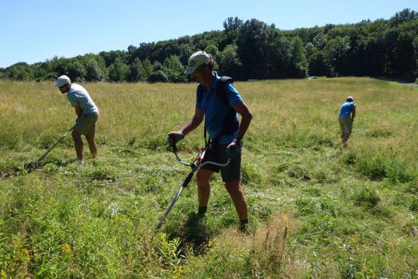 Ein großes Dankeschön an die freiwilligen HelferInnen beim Landschaftspflegeeinsatz auf der Hohenauer Wiese in Klosterneuburg.