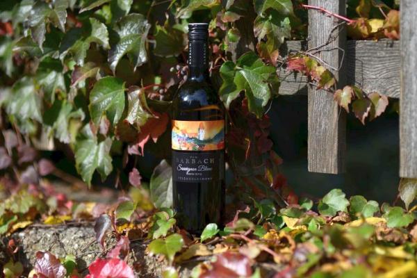 Ex aequo Kategorie Sieger Weißwein kräftig: Weinbau Barbach, Perchtoldsdorf, Sauvignon Blanc Reserve, 2019; Preis: Euro 12,00