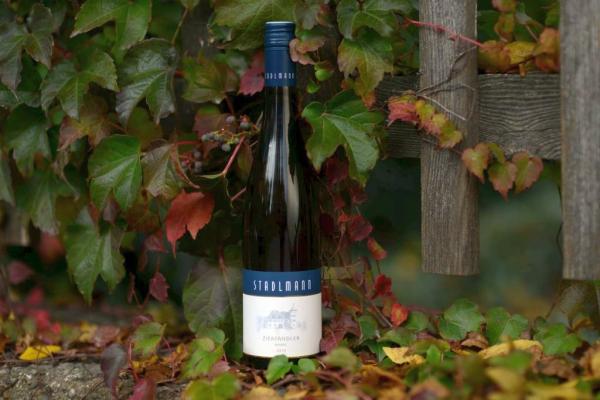 Kategorie-Sieger Weißwein leicht: Weingut Stadlmann, Traiskirchen, Zierfandler Anning, 2019; Preis: Euro 11,00