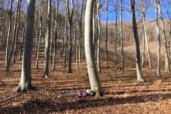 Frau im Wald liegend