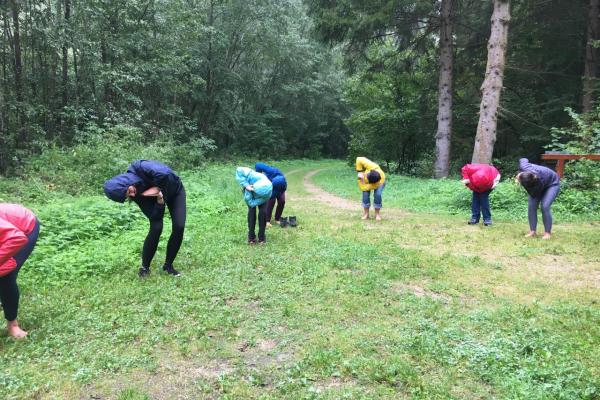 Gruppe beim Yoga im Wald