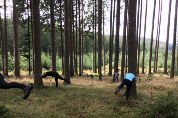 Gruppe beim Waldyoga