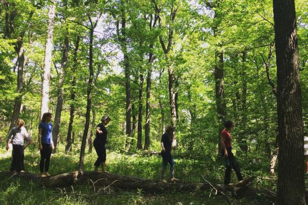 Gruppe im Wald