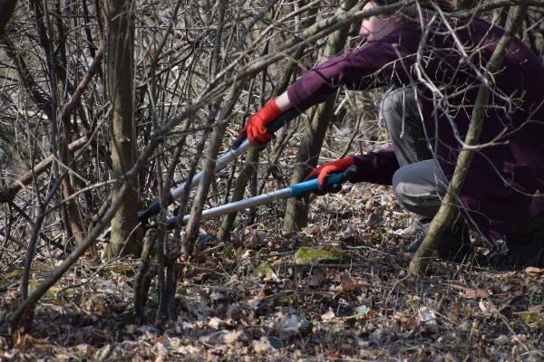 Mit der Astschere im Einsatz für den Naturschutz.