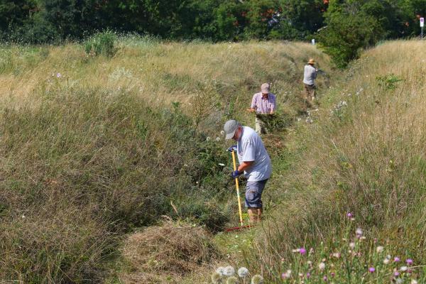 Gruppe bei der Landschaftspflege