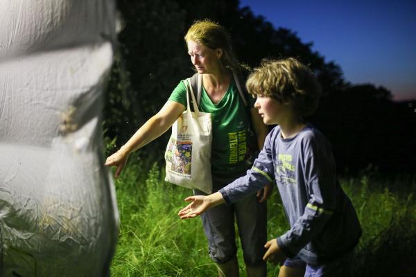 Die aufgestellten "Leuchttürme" machten Falter, Käfer und Insekten sichtbar.