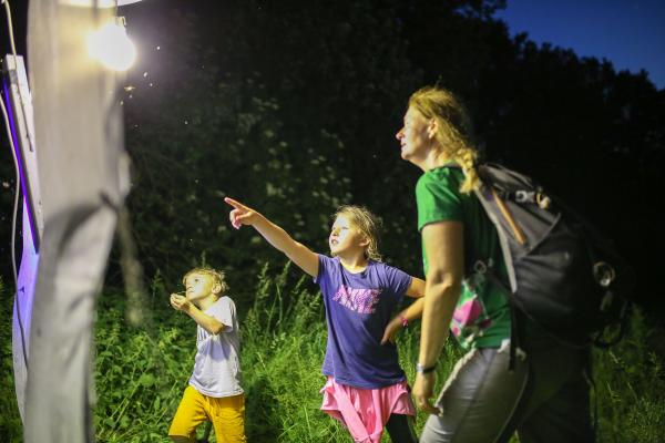Nachtfalter beobachten und gleichzeitig den Erklärungen der Naturpädagogin lauschen ist toll!