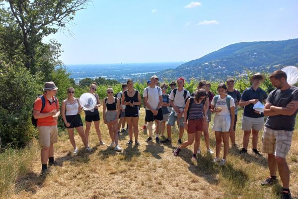 Bei heißem, sonnigem Wetter fanden sich die SchülerInnen des 1. Lehrgangs ein, um Heckenzug am Buchberg zu erforschen.