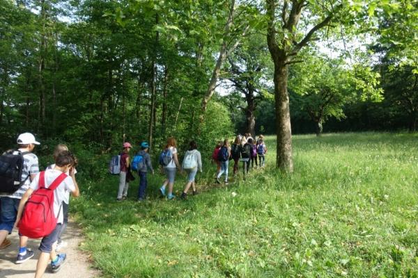 Schulgruppe geht auf einer Wiese