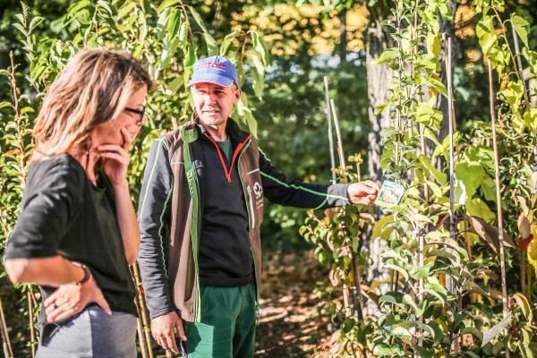 Verkäufer berät Kundin beim Obstbaumkauf