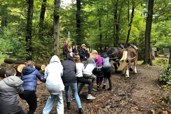 Gruppe Schüler hinter Rückepferden