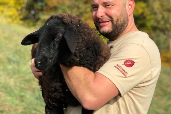 junger Mann hält ein schwarzen Schaf im Arm