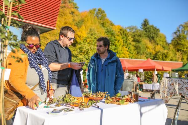 Wildobst-Infostand