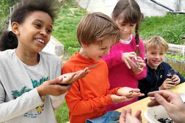 Kinder erforschen die Natur