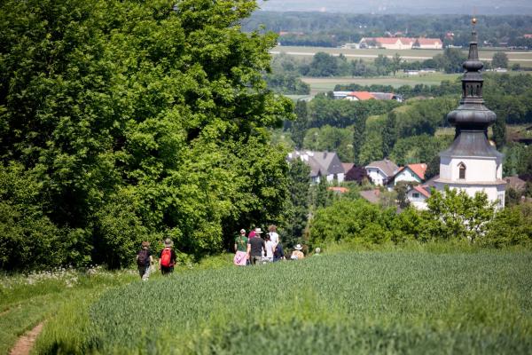 Entlang eines Rundwanderwegs in Königstetten errichtete der Verein FUER Königstetten einen Lehrpfad zum Thema Vögel. 