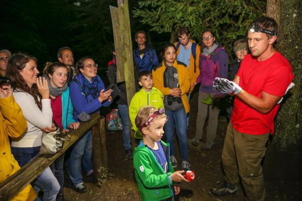 Auftakt und ein Programmhighlight waren am 10. Juni die Nachtführungen mit rund 75 TeilnehmerInnen.