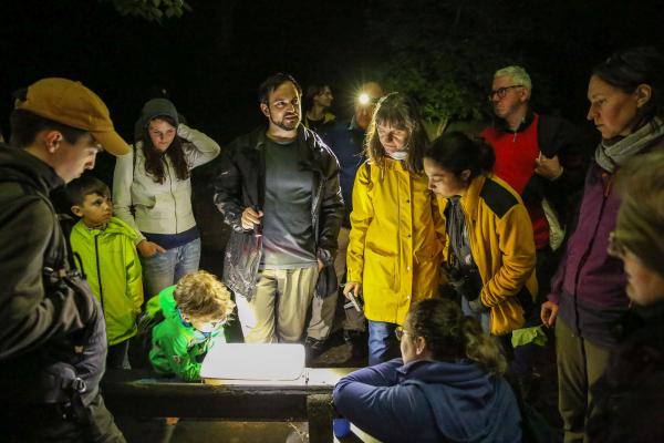 Tier bei Nacht erleben - ein unvergessliches Erlebnis für Groß und Klein.