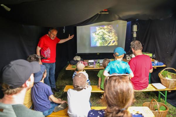 Beim Mikrotheater des Naturhistorischen Museums Wien konnten BesucherInnen Kleinsttiere auf großer Leinwand erleben.