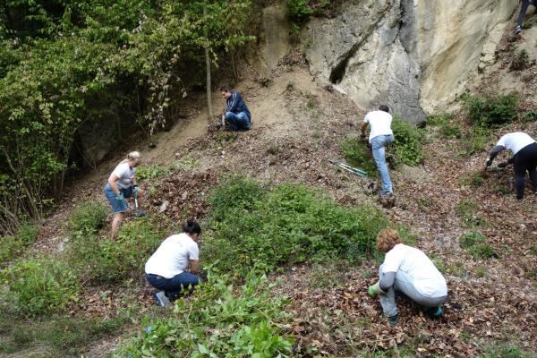 freiwillige HelferInnen bei der Landschaftspflege im Steinbruch