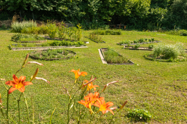 Arbeitsvorbereitungsschwerpunkte liegen im Gemüsebau (Demeter-Betrieb) Garten- und Parkpflege, Hauswirtschaft und Soziales, Haustechnik und Grünraumpflege.