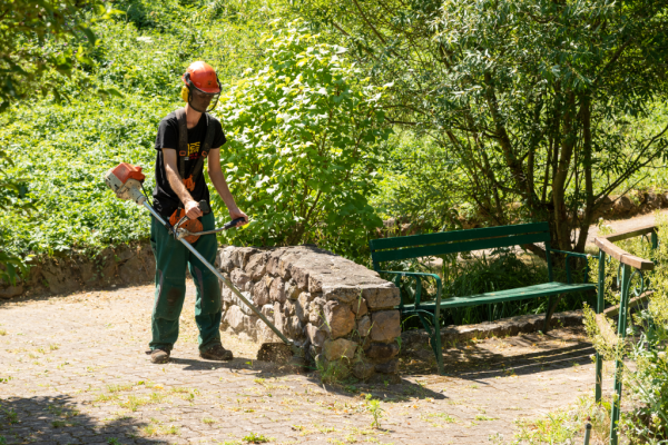 Jungen Menschen werden unterschiedliche Berufsfelder vorgestellt und bei ihren ersten Schritten auf dem Weg in die Arbeitswelt unterstützt.