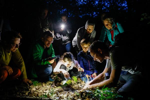 Gruppe an Menschen mit Taschenlampen bei der Artensuche am Waldboden