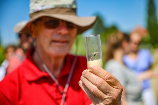 Mann mit Insekt im Glas