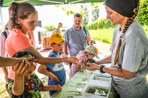 Familie bei Infostand mit Reptilien