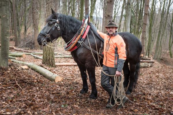 Durch den Einsatz von Pferdkraft wird nicht nur der Boden möglichst schonend bearbeitet, sondern gleichzeitig das Wissen um den Umgang mit Arbeitstieren gepflegt. 