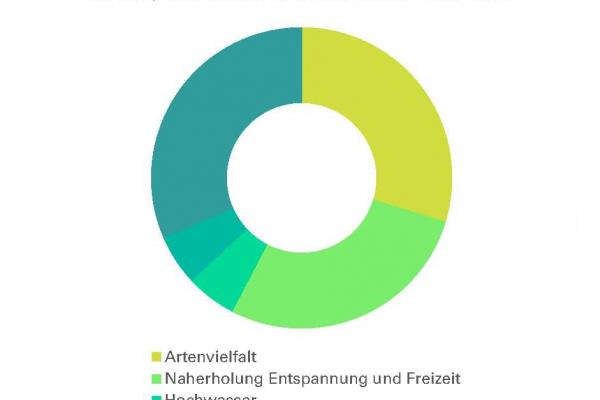 Umfragediagramm