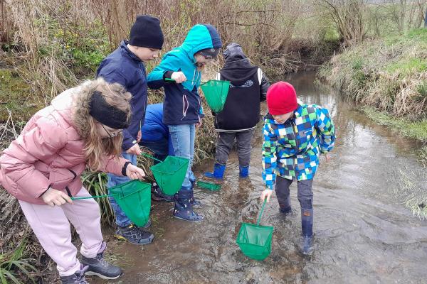 Kinder im Bach mit Keschern