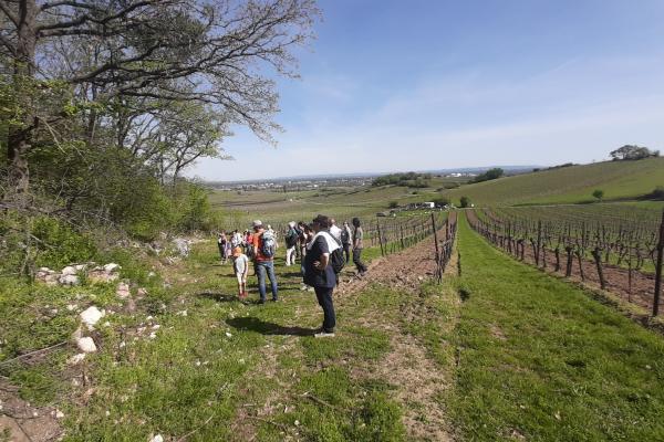 Personengruppe bei Trockensteinmauer