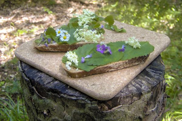 Brot mit Kräutern belegt auf Baumstamm