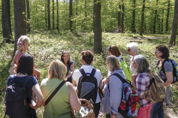 Wandergruppe im Wald