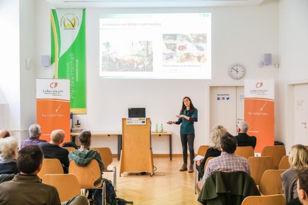 Forschungsvormittag 2024