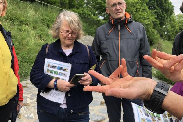 Personengruppe betrachtet Eintagsfliege