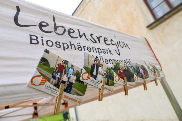 Fotos mit Kluppen auf Zeltdach befestigt mit BPWW-Logo