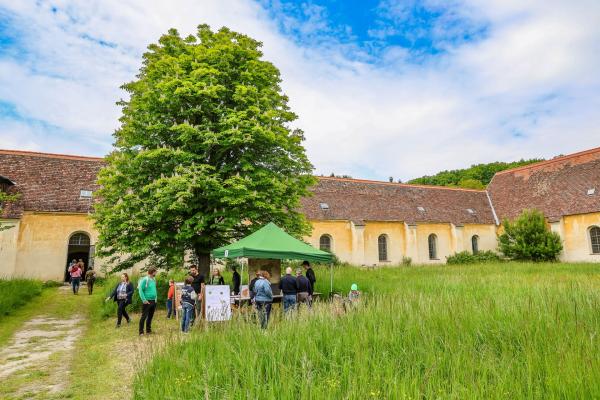 Station mit Baum und Kartause