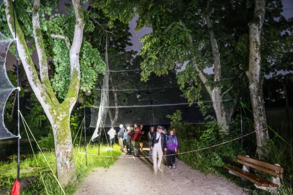 Personengruppe in der nacht