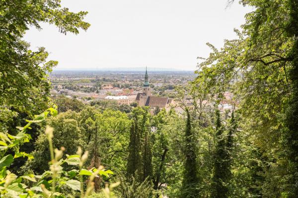 Blick auf Baden