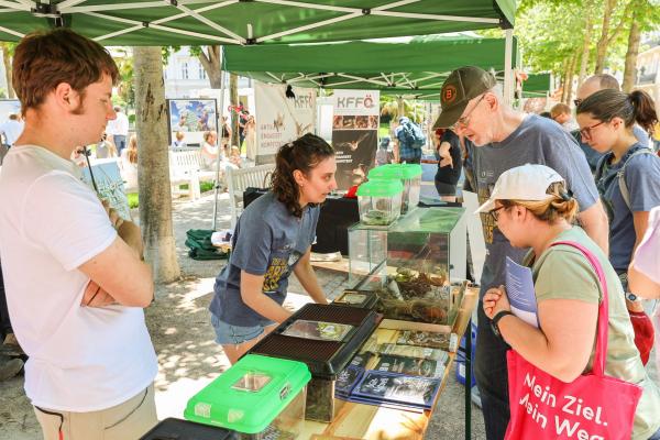 Infostand