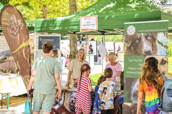 Infostand